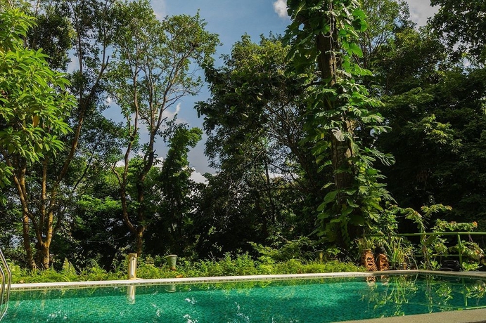 Imagen de la piscina del Hotel Ambong Rainforest Retreat. Foto 13