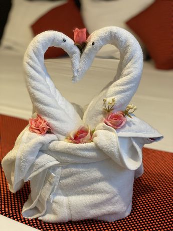 Imagen de la habitación del Hotel Ambra, PlayaCar. Foto 11