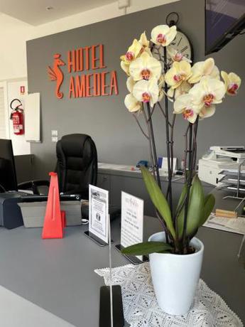 Imagen general del Hotel Amedea. Foto 1