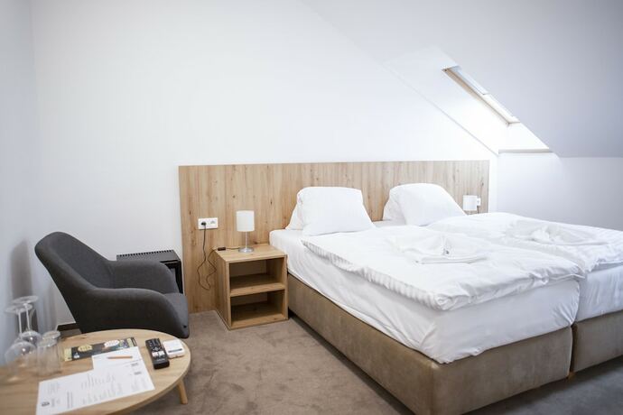 Imagen general del Hotel Amenity Penzion Horn&iacute; Věstonice. Foto 3
