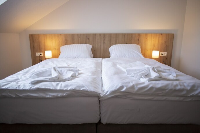 Imagen general del Hotel Amenity Penzion Horn&iacute; Věstonice. Foto 14
