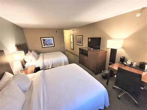 Imagen de la habitación del Hotel AmeriVu Inn and Suites - Chisago City. Foto 5