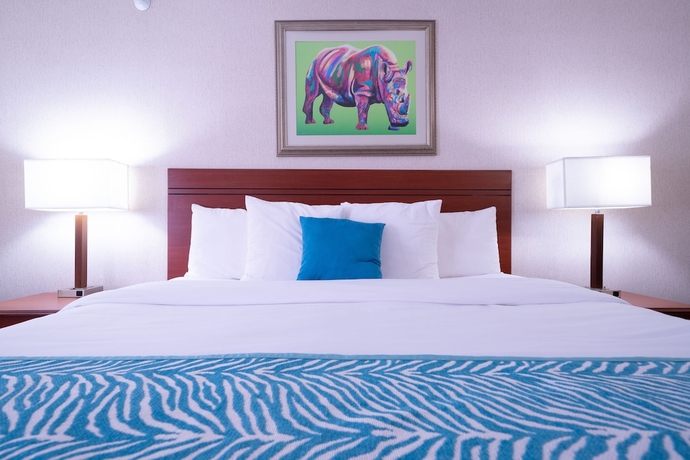 Imagen de la habitación del Hotel AmericInn by Wyndham Omaha Near Zoo. Foto 6