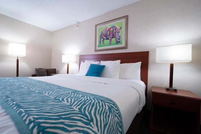 Imagen de la habitación del Hotel AmericInn by Wyndham Omaha Near Zoo. Foto 7