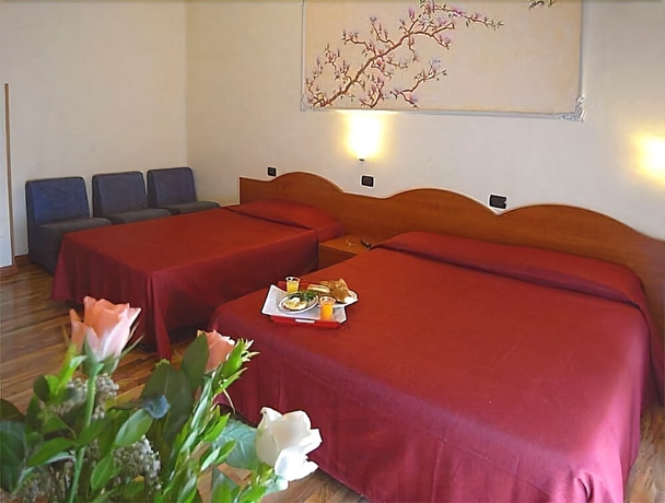 Imagen de la habitación del Hotel America, Mil&aacute;n. Foto 11
