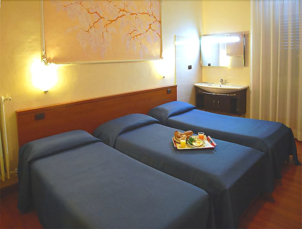 Imagen de la habitación del Hotel America, Mil&aacute;n. Foto 12