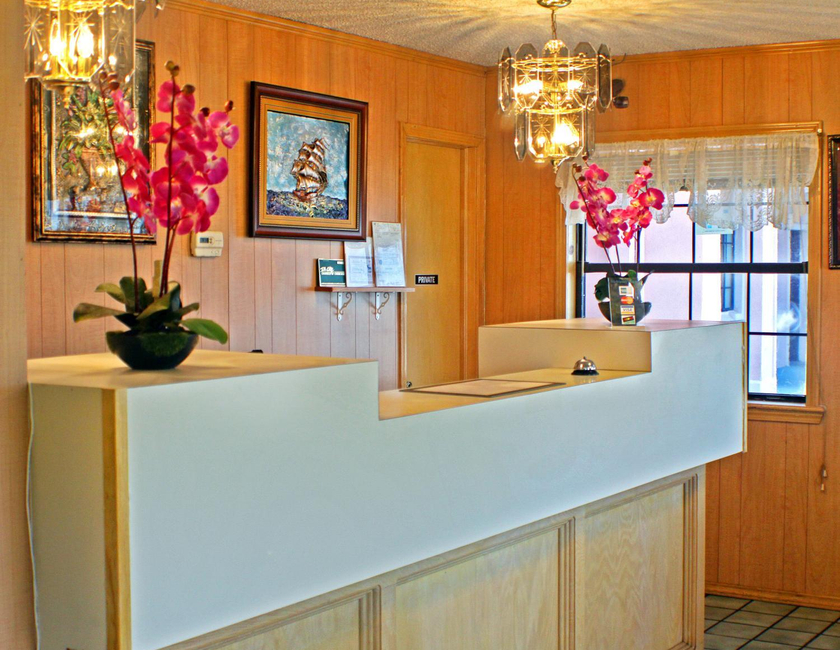Imagen general del Hotel American Dream Inn. Foto 3