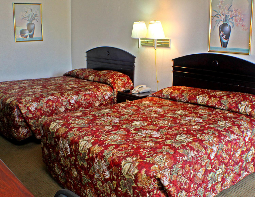 Imagen general del Hotel American Dream Inn. Foto 6