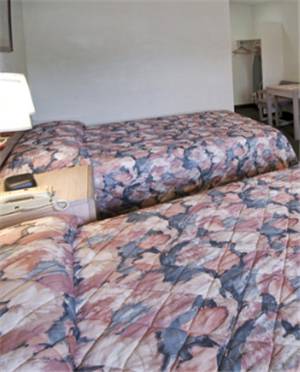 Imagen de la habitación del Hotel American Eagle Inn Fayetteville. Foto 6