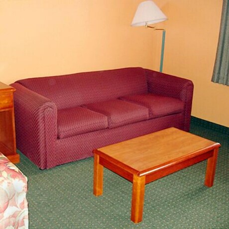 Imagen general del Hotel American Inn Cleburne. Foto 13