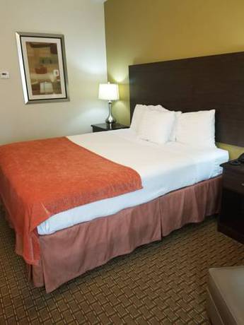 Imagen de la habitación del Hotel American Inn Madill. Foto 4