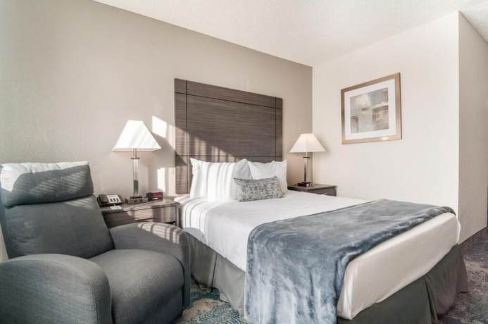 Imagen de la habitación del Hotel American Inn Suites Detroit Metro Airport. Foto 8