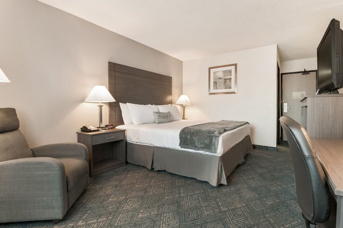 Imagen de la habitación del Hotel American Inn Suites Detroit Metro Airport. Foto 10