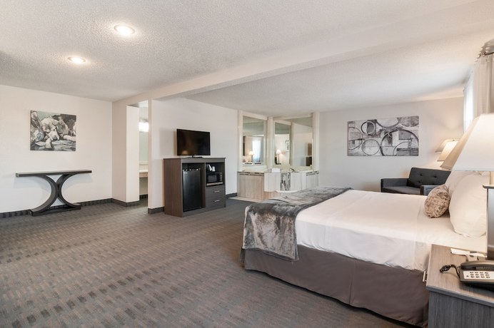 Imagen de la habitación del Hotel American Inn Suites Detroit Metro Airport. Foto 14