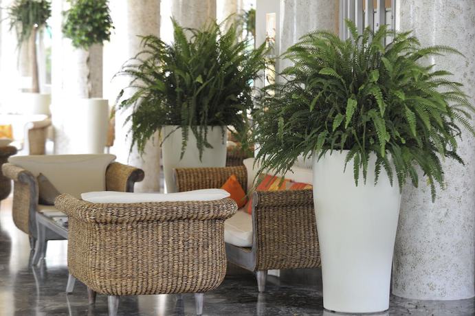 Imagen de los interiores del Hotel American, Lignano Sabbiadoro. Foto 16