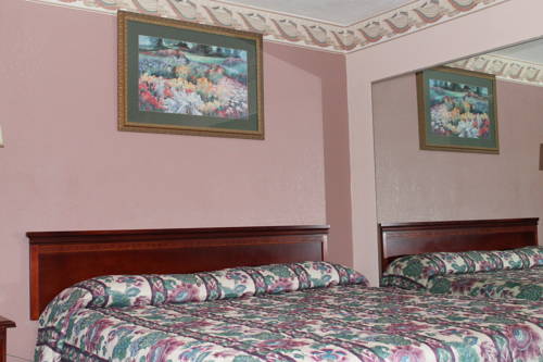 Imagen de la habitación del Hotel American Motor Inn. Foto 7