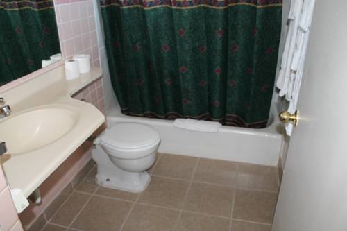 Imagen de la habitación del Hotel American Motor Inn. Foto 11