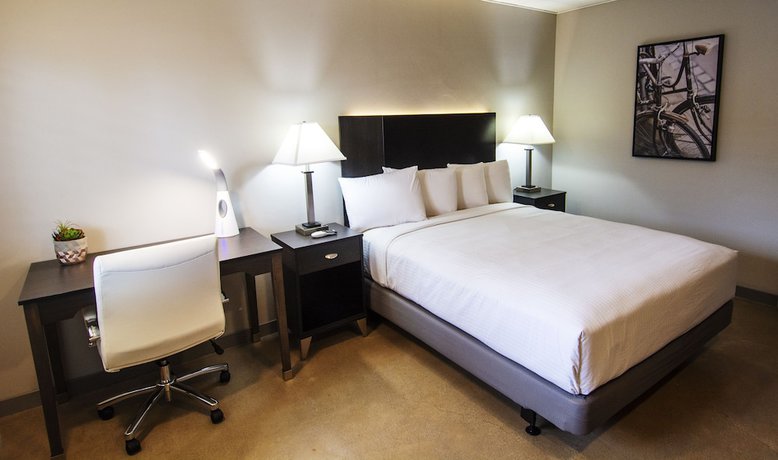 Imagen de la habitación del Hotel Americana Modern. Foto 7
