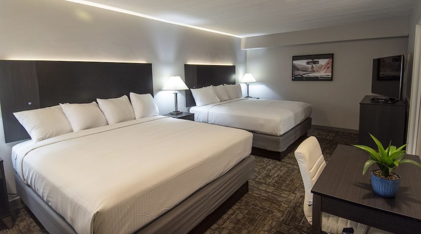 Imagen de la habitación del Hotel Americana Modern. Foto 9