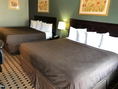 Imagen de la habitación del Hotel Americas Best Value Inn Athens. Foto 6