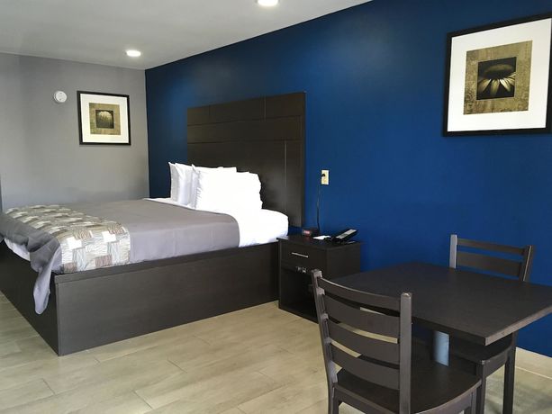Imagen de la habitación del Hotel Americas Best Value Inn Denham Springs Baton Rouge. Foto 7