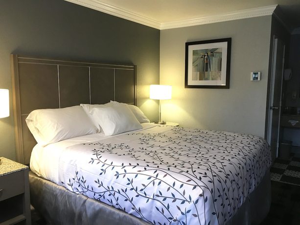 Imagen de la habitación del Hotel Americas Best Value Inn Milpitas Silicon Valley. Foto 7
