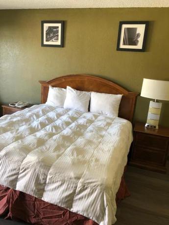 Imagen de la habitación del Hotel Americas Best Value Inn Wilson. Foto 17
