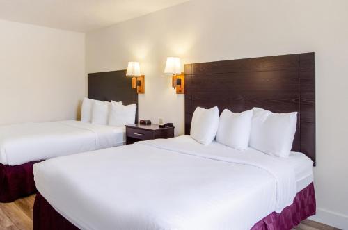 Imagen de la habitación del Hotel Americas Best Value Inn & Suites Ft Collins E at I-25. Foto 3