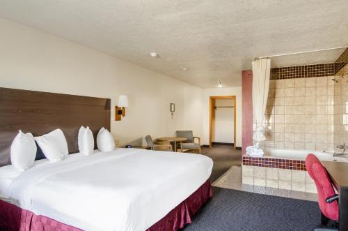 Imagen de la habitación del Hotel Americas Best Value Inn & Suites Ft Collins E at I-25. Foto 5