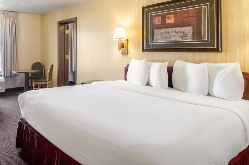 Imagen de la habitación del Hotel Americas Best Value Inn & Suites Ft Collins E at I-25. Foto 6
