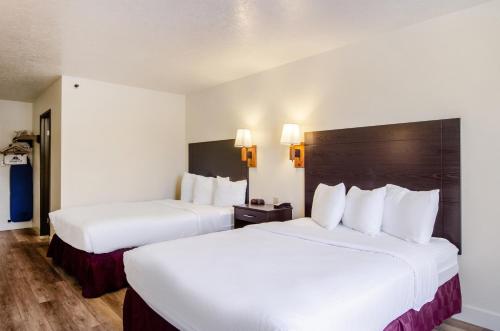Imagen de la habitación del Hotel Americas Best Value Inn & Suites Ft Collins E at I-25. Foto 20