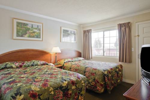 Imagen de la habitación del Hotel Americas Best Value Inn & Suites-petaluma. Foto 1