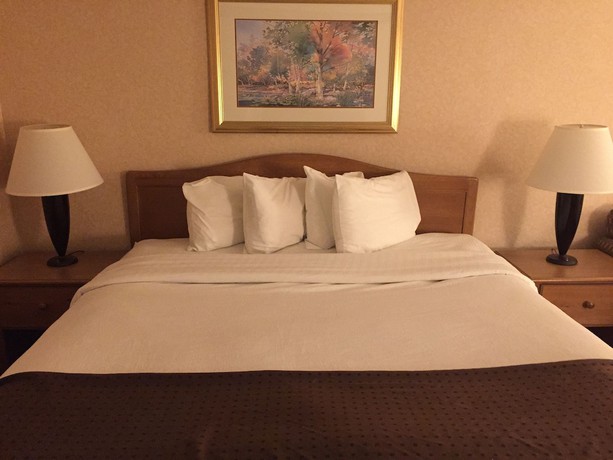 Imagen de la habitación del Hotel Americas Best Value Inn and Suites Boise. Foto 6