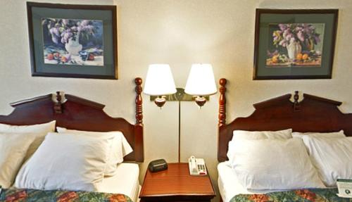 Imagen de la habitación del Hotel Americas Best Value Inn and Suites Waukegan Gurnee. Foto 8