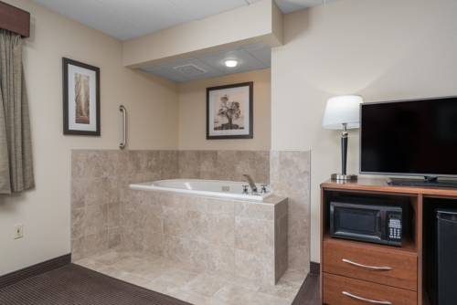 Imagen de la habitación del Hotel Americinn By Wyndham Bemidji. Foto 5