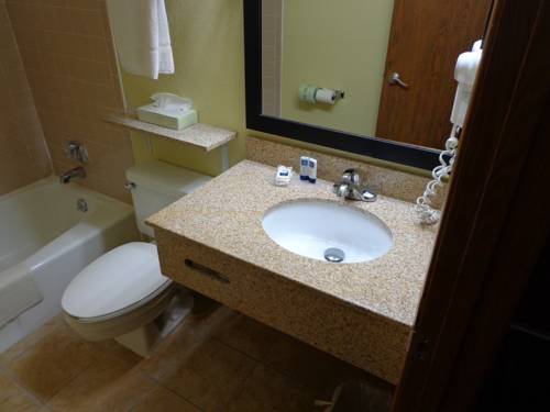 Imagen de la habitación del Hotel Americinn By Wyndham Council Bluffs. Foto 7