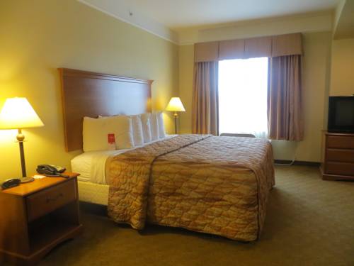 Imagen de la habitación del Hotel Americinn By Wyndham New Braunfels. Foto 2