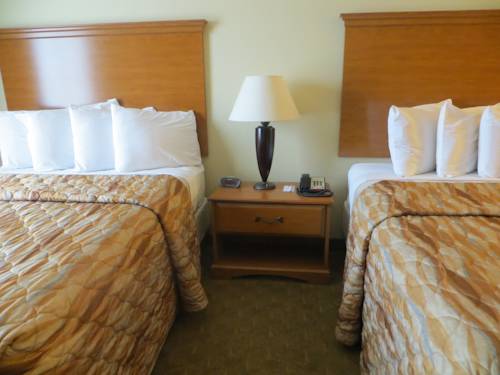 Imagen de la habitación del Hotel Americinn By Wyndham New Braunfels. Foto 11