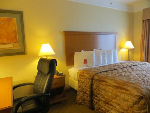 Imagen de la habitación del Hotel Americinn By Wyndham New Braunfels. Foto 12