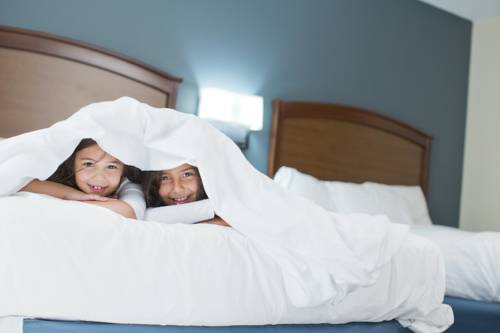 Imagen de la habitación del Hotel Americinn By Wyndham Sayre. Foto 12