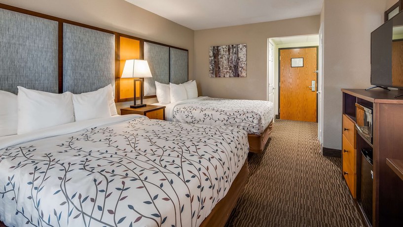 Imagen de la habitación del Hotel Americinn by Wyndham Birch Run - Frankenmuth. Foto 2