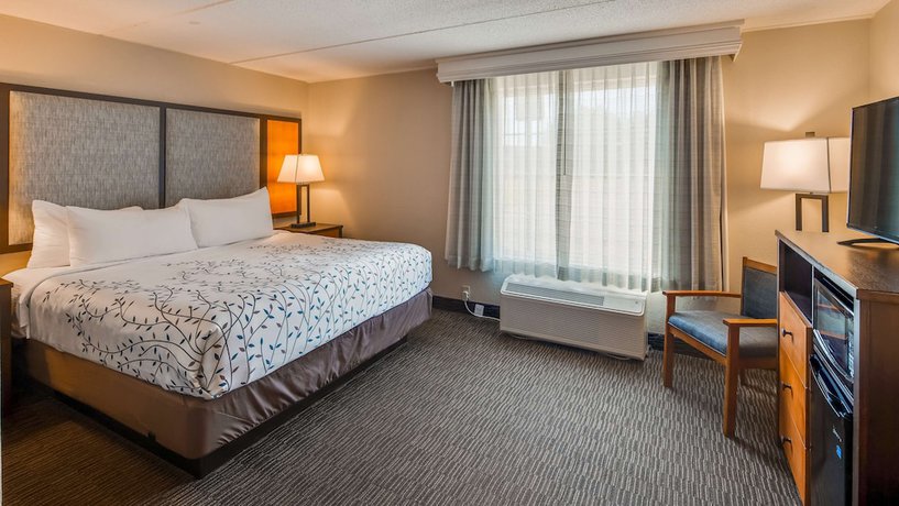 Imagen de la habitación del Hotel Americinn by Wyndham Birch Run - Frankenmuth. Foto 4