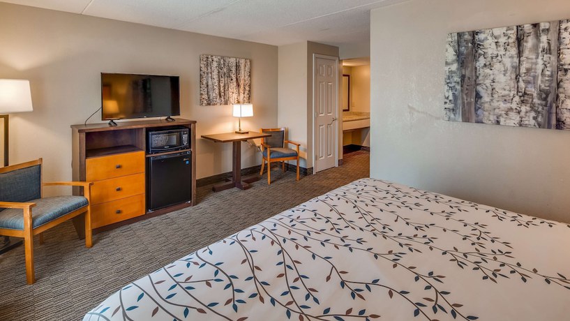 Imagen de la habitación del Hotel Americinn by Wyndham Birch Run - Frankenmuth. Foto 10