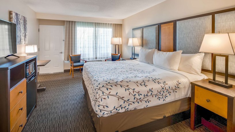 Imagen de la habitación del Hotel Americinn by Wyndham Birch Run - Frankenmuth. Foto 11