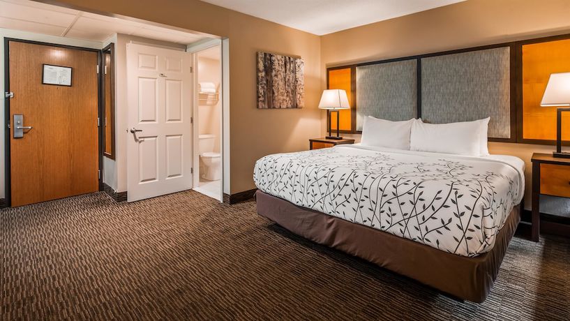 Imagen de la habitación del Hotel Americinn by Wyndham Birch Run - Frankenmuth. Foto 12