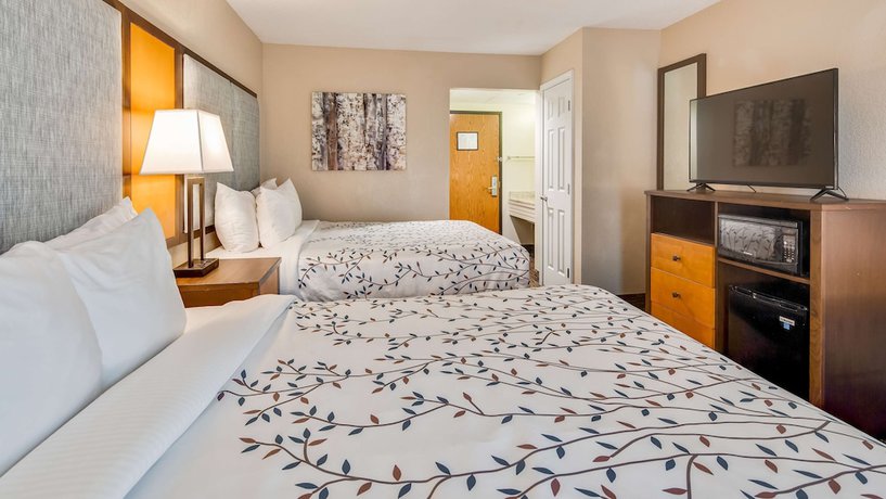 Imagen de la habitación del Hotel Americinn by Wyndham Birch Run - Frankenmuth. Foto 19
