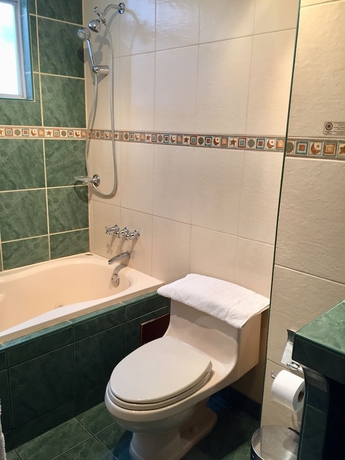 Imagen de la habitación del Hotel Amerindia. Foto 5