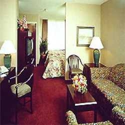 Imagen general del Hotel Amerisuites Park Central. Foto 2