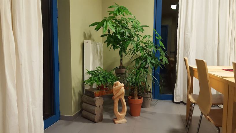 Imagen de los interiores del Hotel Amethist. Foto 20