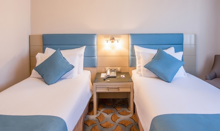 Imagen de la habitación del Hotel Amethyst. Foto 14